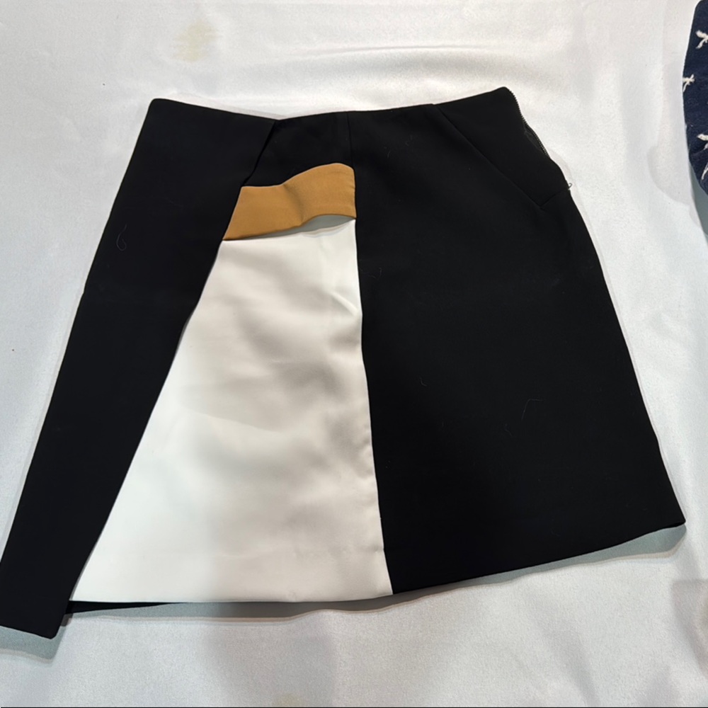 Zara Black and White Skirt with Modern Color-Blocking